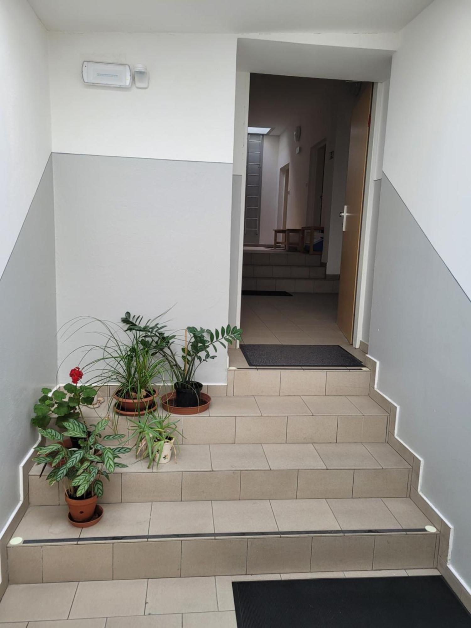 Pod Strechou Apartment Svoboda nad Úpou Exterior foto
